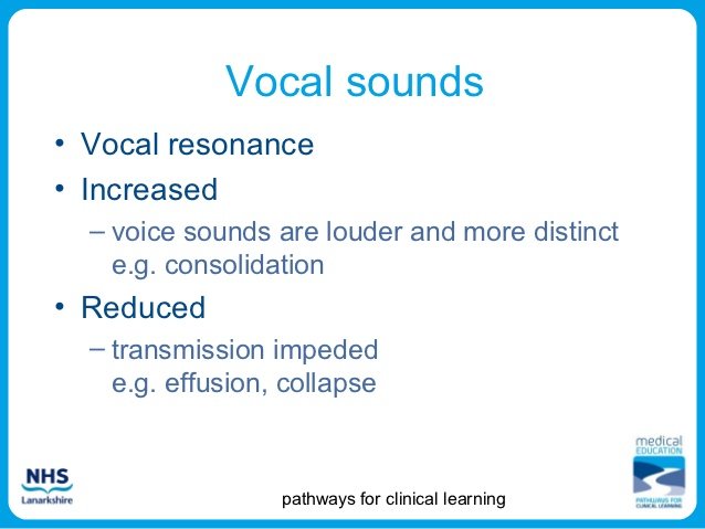 vocal resonance