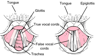 vocalness