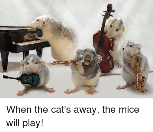 when the cat's away, the mice will play