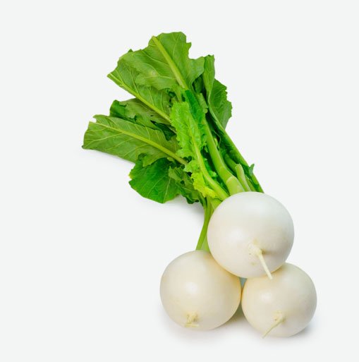 white turnip