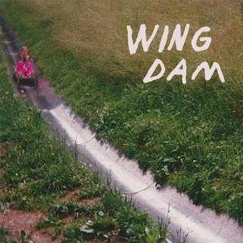 wing dam