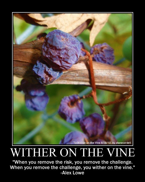 wither on the vine