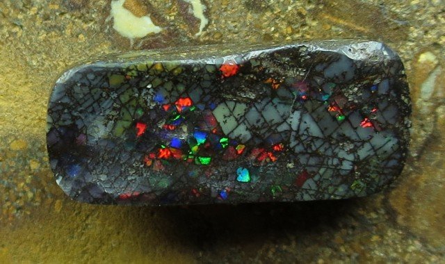 wood opal