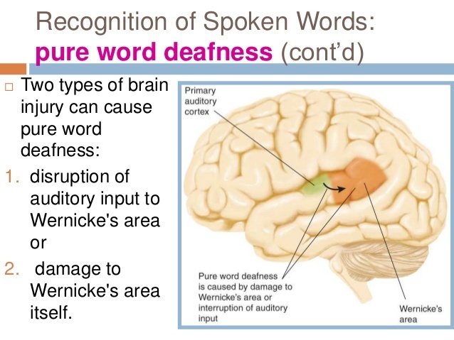 word deafness