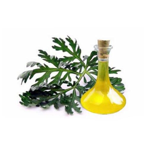 wormseed oil