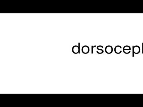 dorsocephalad