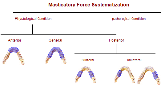 force of mastication