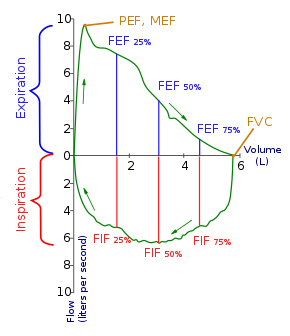 forced expiratory flow