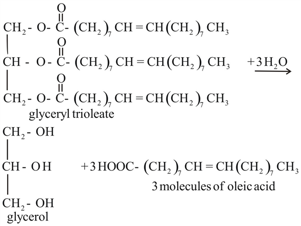 glyceryl trioleate