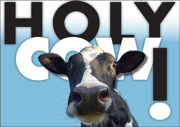 holy cow – Liberal Dictionary
