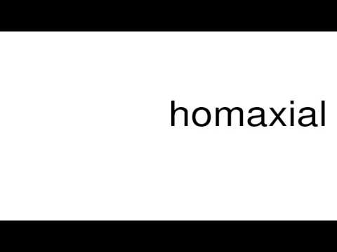 homaxial