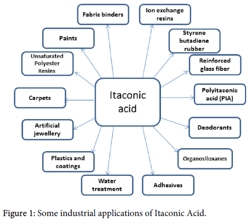 itaconic acid