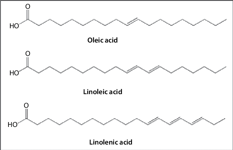 linolenic acid