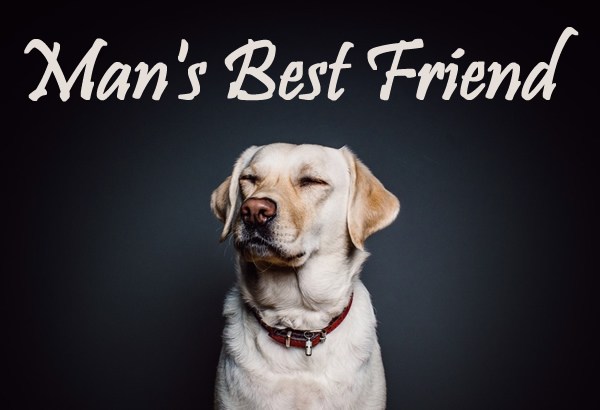 man’s best friend