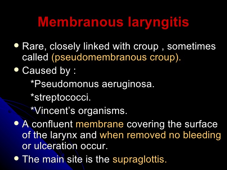 membranous laryngitis