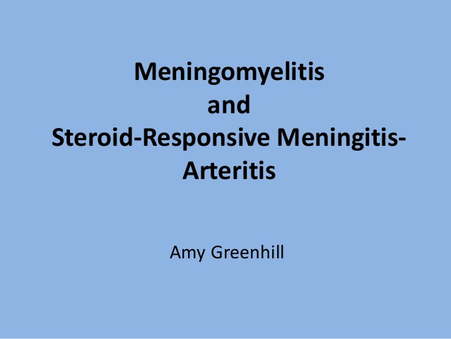 meningomyelitis