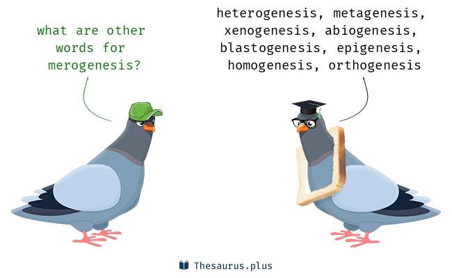 merogenesis