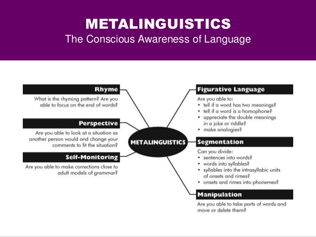 metalinguistics