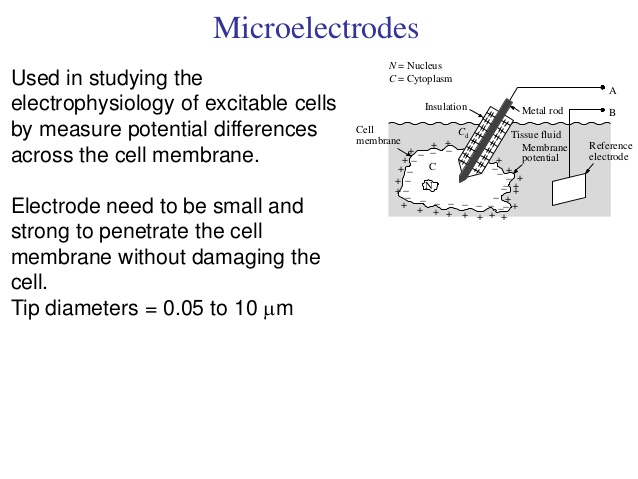 microelectrode
