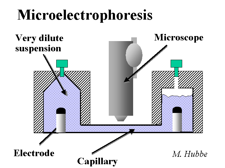 microelectrophoresis