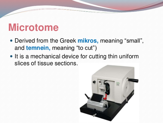 microtomy