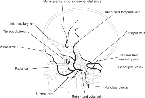 middle meningeal vein