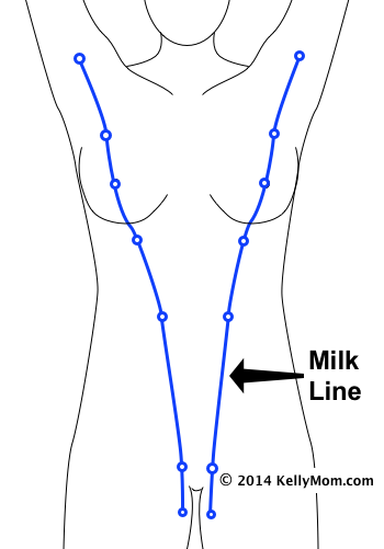 milk line