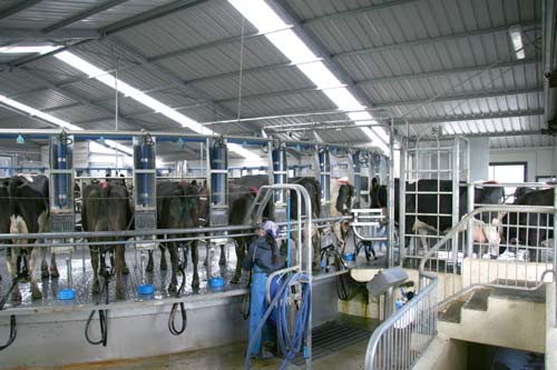 milking shed