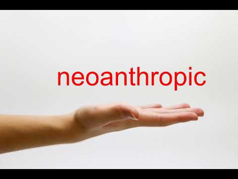 neoanthropic