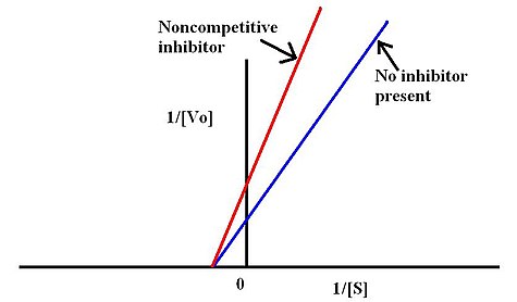 noncompetitive inhibition