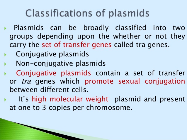 nonconjugative plasmid