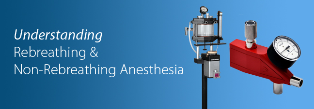 nonrebreathing anesthesia