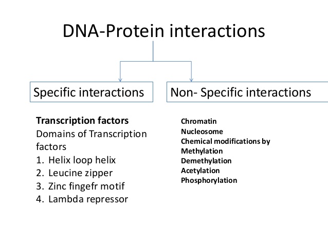 nonspecific protein