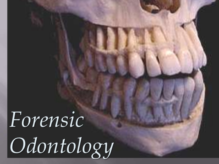 odontology