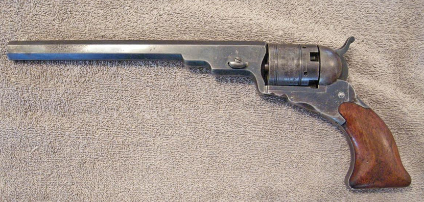 old-field colt