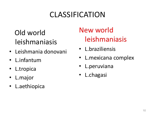 old world leishmaniasis