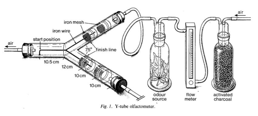 olfactometer