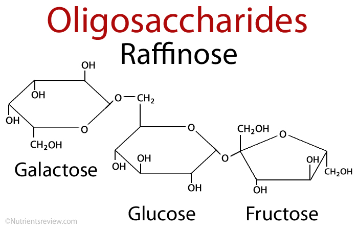 oligosaccharide