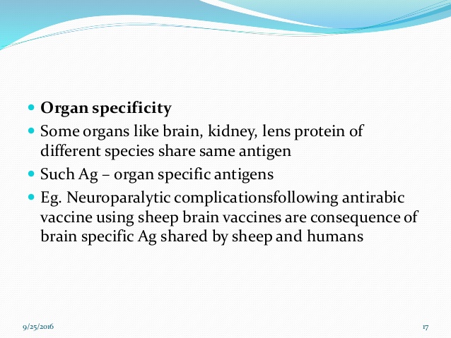 organ-specific antigen