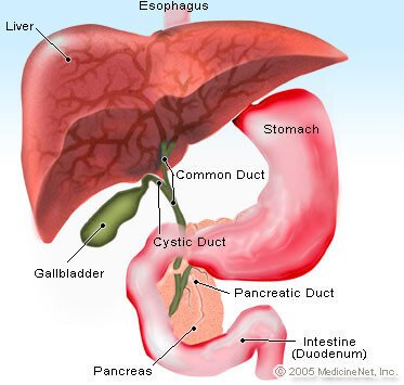 pancreatic juice