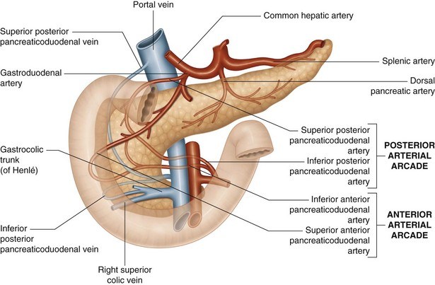 pancreaticoduodenal