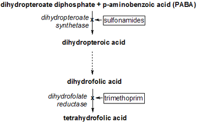 para-aminobenzoic acid