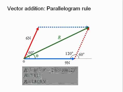 parallelogram rule