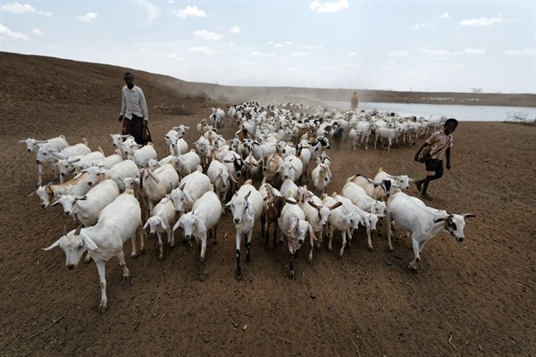 pastoralist