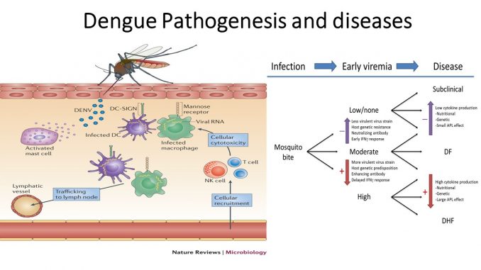 pathogenesis