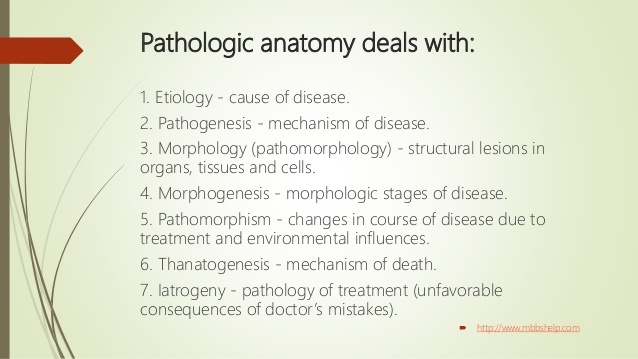 pathologic anatomy