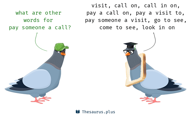 pay a call