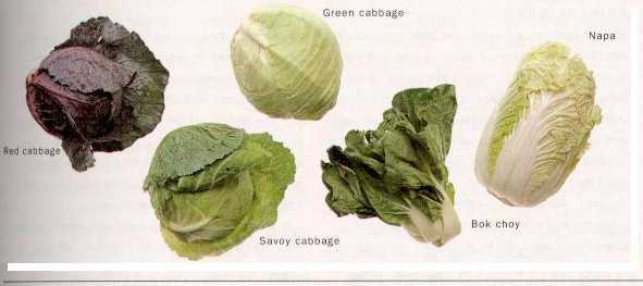 pe-tsai cabbage