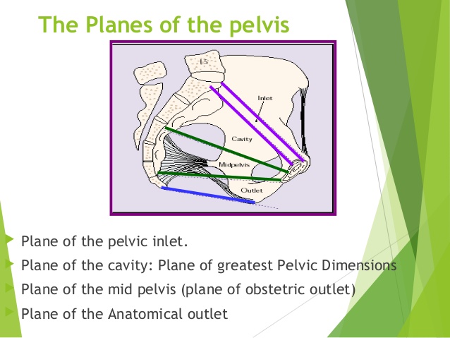 pelvic plane of greatest dimensions