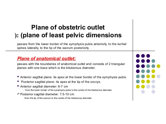 pelvic plane of least dimensions